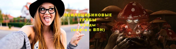 прущие крисы Арсеньев