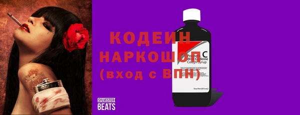 прущий лед Инсар