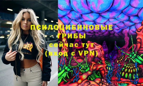 прущие крисы Арсеньев