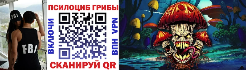 Псилоцибиновые грибы Cubensis  сколько стоит  Мыски 